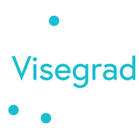 Úspěšné završení mezinárodního projektu V4: Effects of Industry 4.0 on FDI in the Visegrád countries
